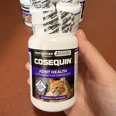 Cosequin老年猫用关节补充剂