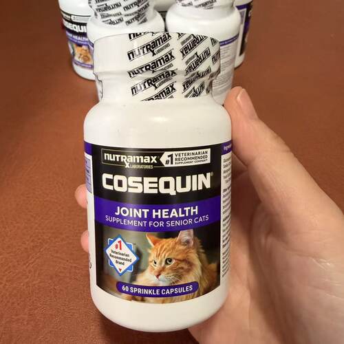 Cosequin老年猫用关节补充剂