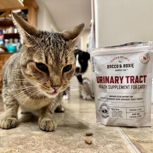 猫咪泌尿道健康夹心咀嚼片 含蔓越莓等 Roxie 现货 Rocco
