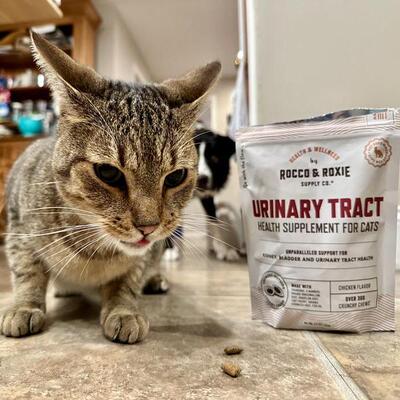 【现货】Rocco & Roxie 猫咪泌尿道健康夹心咀嚼片|含蔓越莓等