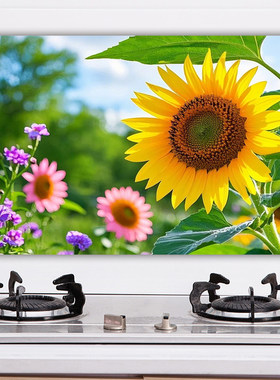 防油贴纸厨房墙纸贴画耐高温加厚墙贴壁纸瓷砖贴防水贴膜自粘g91