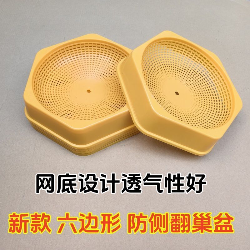 鸽子用品用具蛋窝防侧翻养殖塑料草窝孵蛋信鸽种鸽巢盆鸽子窝塑料图片