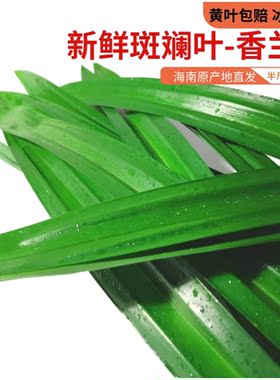 【海南/广西双仓发货】斑斓叶海南广西双仓发货现摘现割直接发