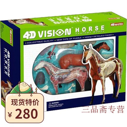 4D MASTER Vision 拼装玩具动物马解剖内脏骨骼器官教具仿真模型