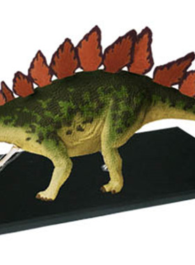 4DMASTER骨骼解剖拼装剑龙骨架器官玩具仿真恐龙动物模型教学