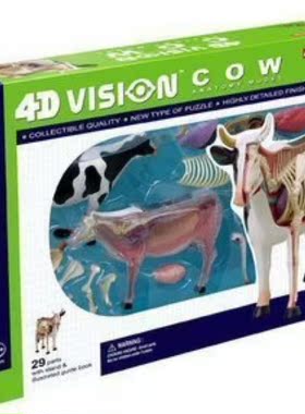 4D MASTER/奶牛骨骼 教学玩具动物模型畜牧牛奶解剖拼装模型科普