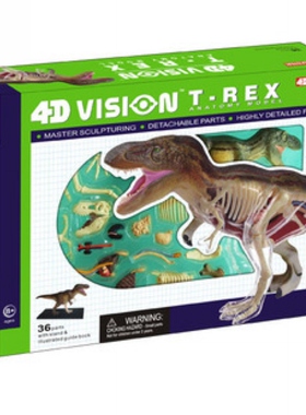 4D MASTER暴龙 益智拼装玩具 动物模型 中号 霸王龙解剖模型骨骼