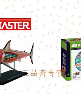 4D MASTER玩具海洋动物构造鲨鱼器官内脏骨骼解剖拼装模型教学儿