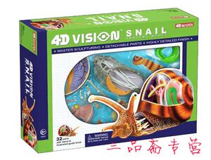 4DMASTER益智玩具儿童生物教具动物蜗牛解剖构造拼装模型手工摆件