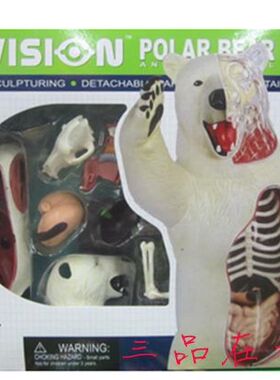 4D Master Vision Polar Bear 白熊黑熊模型玩具动物解剖北极熊