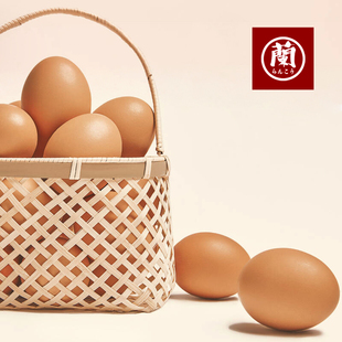 日本无菌鸡蛋图片素材