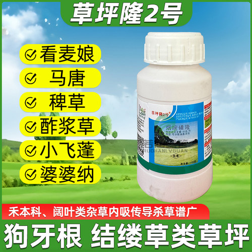 草坪隆2号百慕大草坪除杂草剂