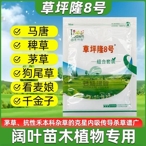 草坪隆8号绿篱小苗茅草芦苇除草