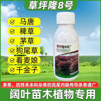 草坪隆8号绿篱小苗除草剂黄杨石楠冬青女贞茅草芦苇铺地黍杂草剂