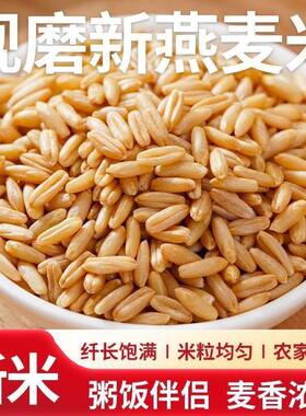 东北新货燕麦米250克裸燕麦胚芽米五谷杂粮农家米饭粗粮批发散装