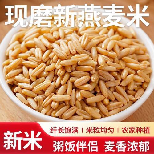 东北新货燕麦米250克裸燕麦胚芽米五谷杂粮农家米饭粗粮批发散装