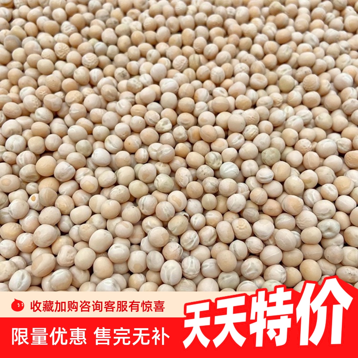 白豌豆生豌豆干豌豆带皮豌豆五谷杂粮信鸽鸽粮鸽子饲料包邮