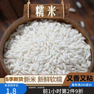 2025年长粒糯米五常品种包粽子江米包粽子做糍粑甜品糯米