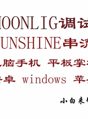 Moonlight +sunshine IPV6 月光 远程串流PC调试+咨询 一对一服务
