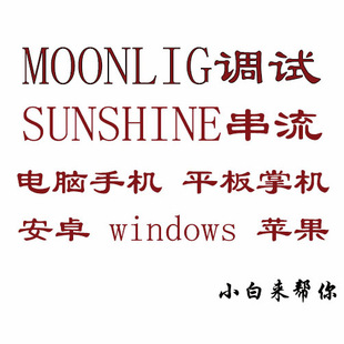 Moonlight +sunshine IPV6 月光 远程串流PC调试+咨询 一对一服务