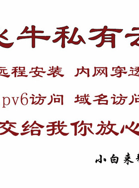 飞牛OS NAS群晖私有影视win虚拟frp内网穿透ipv6DDNS公网域名解析