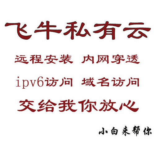 飞牛OS NAS群晖私有影视win虚拟frp内网穿透ipv6DDNS公网域名解析