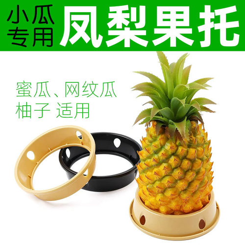 水果店凤梨果托柚子西瓜蜜瓜网纹瓜防滚固定器小瓜陈列托摆放底座