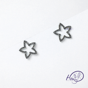 厚耳垂的世界S925银针小众设计感镂空锆石星星耳钉耳环耳饰