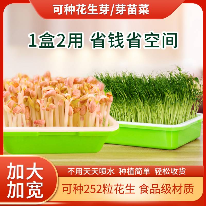 花生芽种植盘盒神器专用种子籽无土栽水培箱生发豆芽苗菜机育苗盆