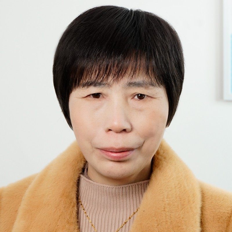 新款老年人假发女短发自然逼真真头发全头套透气老奶奶真人发丝假