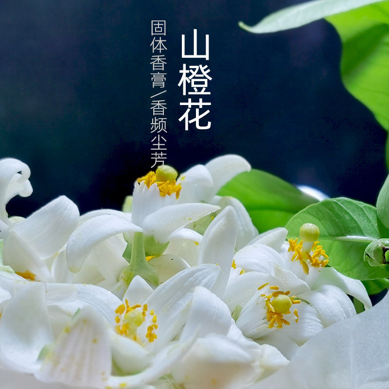 山橙花香膏 清新温和 抗压洁净皂感香韵天然香膏涂抹香身香频尘芳