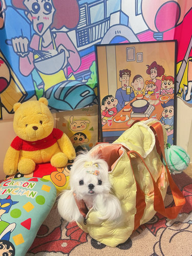 Owlpet澳利原创宠物出行包毛绒内垫可拆洗大容量