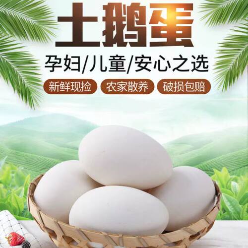 正宗新鲜土鹅蛋特大农家散养鹅蛋每个80-120g共12枚一箱 破损包赔