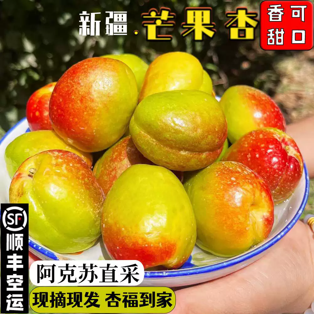 【开始发货】新疆阿克苏芒果杏  新疆杏子新鲜水果 现摘现发 顺丰