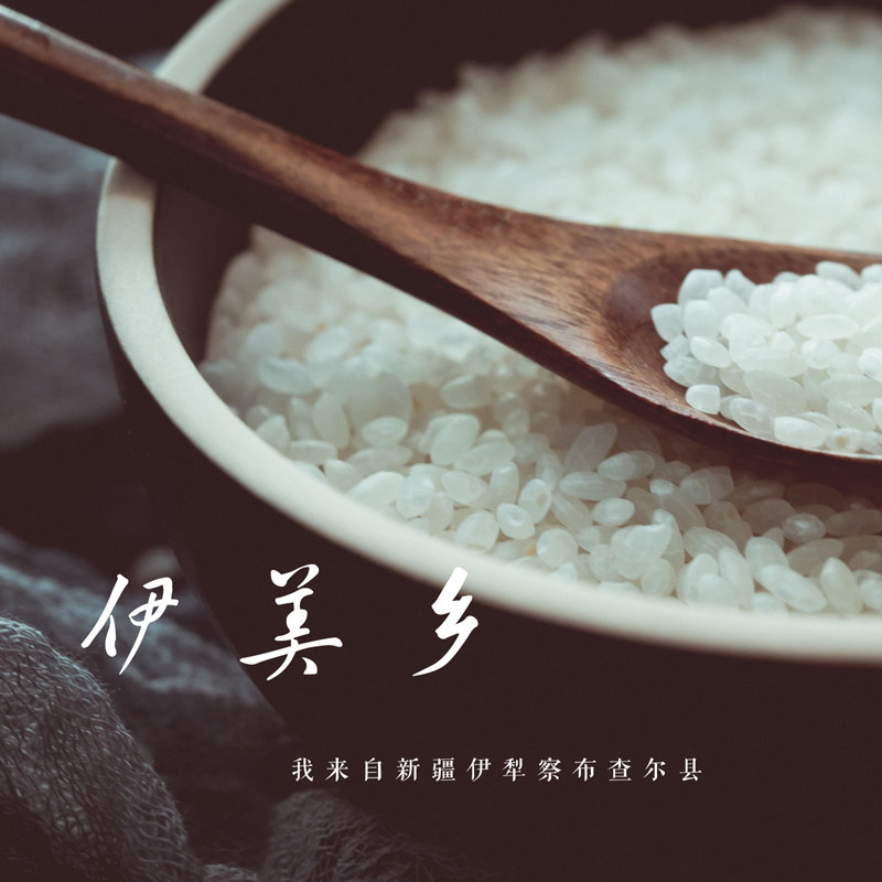 新款新疆伊犁察布查尔县【伊美乡-生态大米】一级粳米 真空袋装
