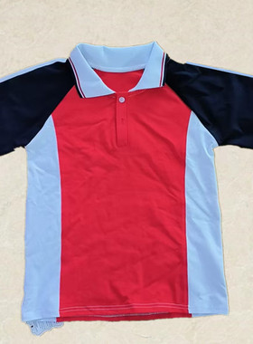 中小学生红色拼白条短袖校服半袖夏季小学初高中生藏蓝袖T恤班服
