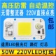 高压AC220V免驱动50W大功率LED灯珠广场路灯投光灯芯片照明光源板