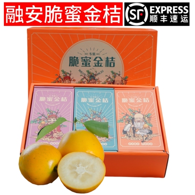 融安脆蜜金柑第三代金桔手提礼桶