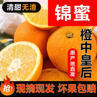 【麻阳锦蜜冰糖橙甜橙】脆嫩多汁非赣南脐橙9斤新鲜水果一件代发