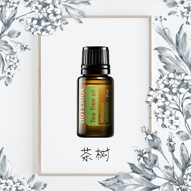 茶树精油doterra多特瑞茶树tea tree oil15ml单方面部按摩护刮码