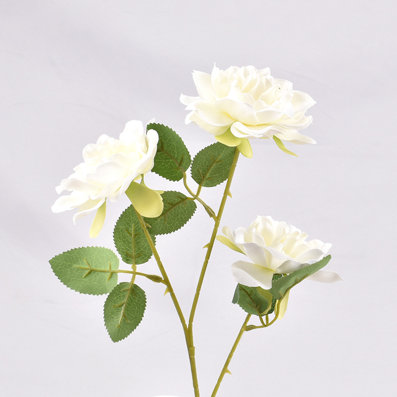 花贝乐室内外装饰浙江栀子花