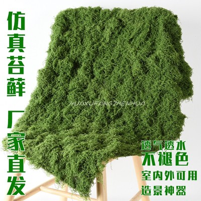 仿生苔藓造景微景观装饰块状微地形草皮遮挡软装绿植室内植被青苔