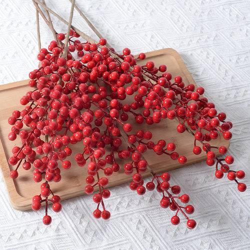 花贝乐室内外装饰浙江发财果