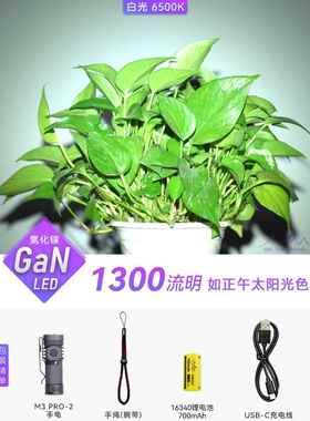 正品在3迷路上M PRBO-2你强光US手电筒防身可充电小手电筒户外防