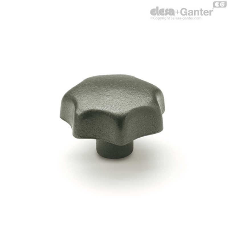 Elesa Ganter伊莉莎冈特 DIN 6336 星形旋钮 铸铁 / 不锈