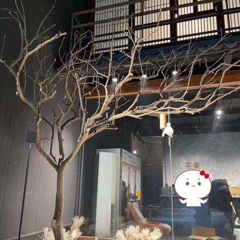 干树枝天然造型干枝枯枝软装装饰实木树干造型树枯木枯树美陈造型