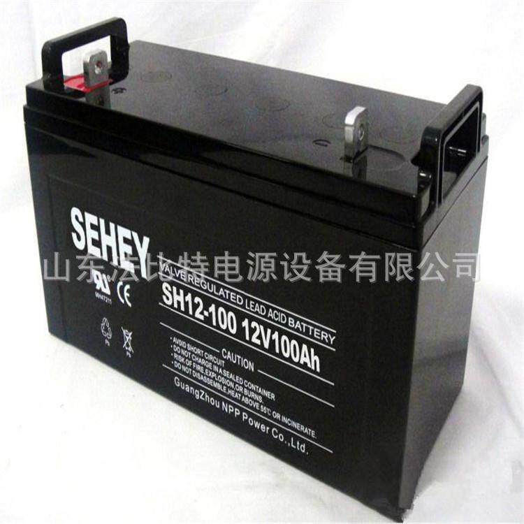 耐普西力铅酸蓄电池SH100-12/12V100Ah应急电源 直流屏EPS