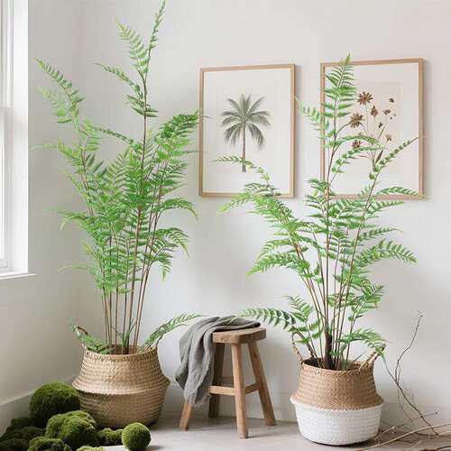 仿真绿植金丝蕨植物蕨树猴头蕨假绿植室内客厅装饰盆栽现货