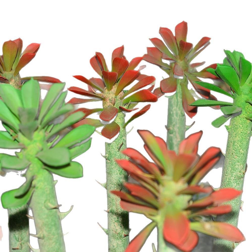 仿真多肉植物盆景公园景区工程造景植绒绿植墙迷你人造假多肉绿植
