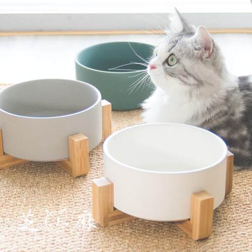 猫碗狗碗陶瓷猫咪碗食盆单碗防打翻喝水碗水盆猫盆宠物碗猫咪用品